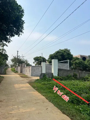 Bất động sản tại Phú Thọ - ảnh 1