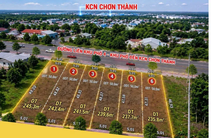 Bất động sản tại Đồng Nai - ảnh 1