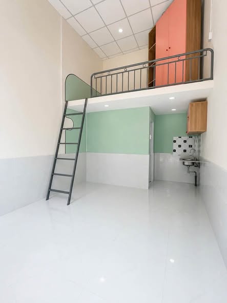 Bất động sản tại Bình Dương - ảnh 1