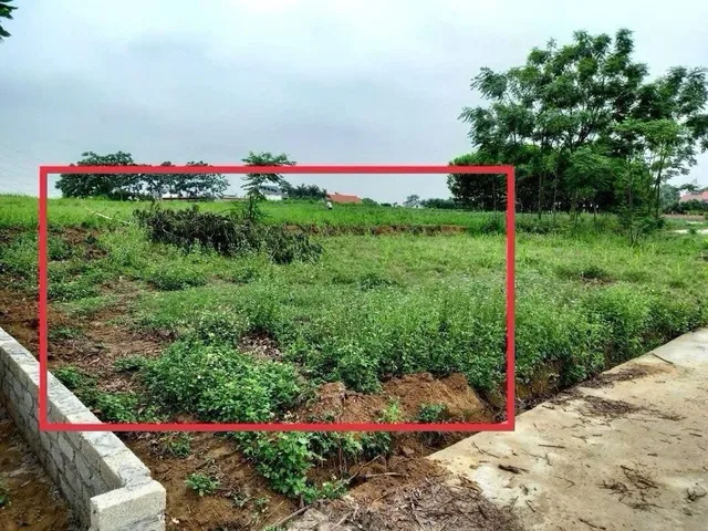 Bất động sản tại Bắc Ninh - ảnh 1