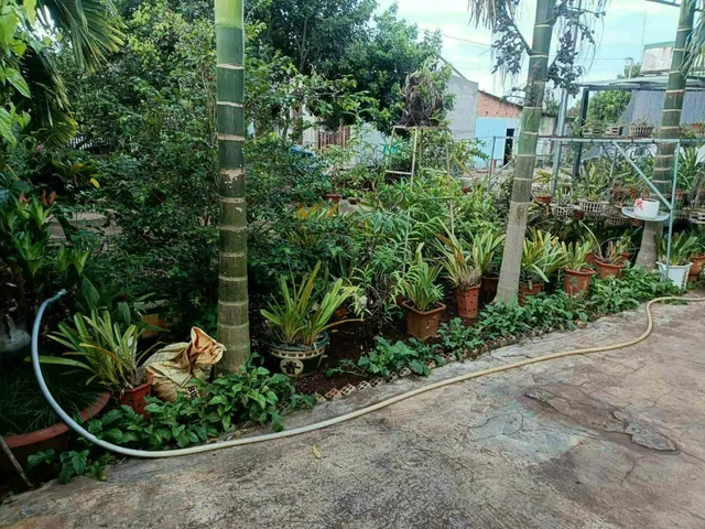 Bất động sản tại Đắk Lắk - ảnh 1