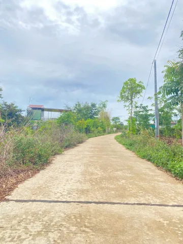 Bất động sản tại Đắk Lắk - ảnh 1