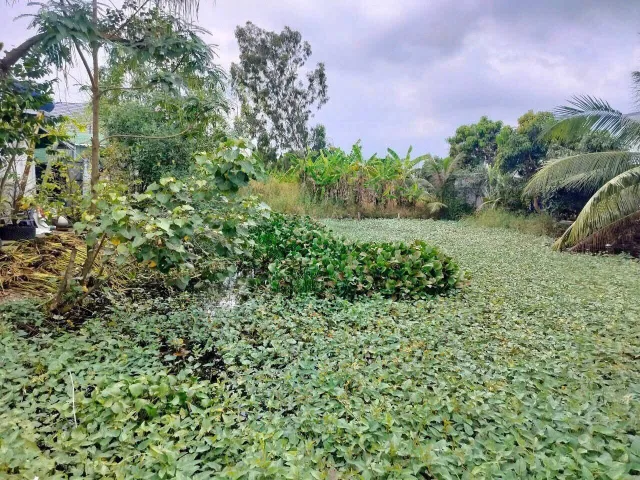 Bất động sản tại Tây Ninh - ảnh 1