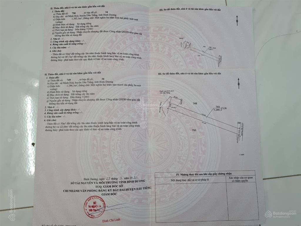 Bất động sản tại Bình Dương - ảnh 1