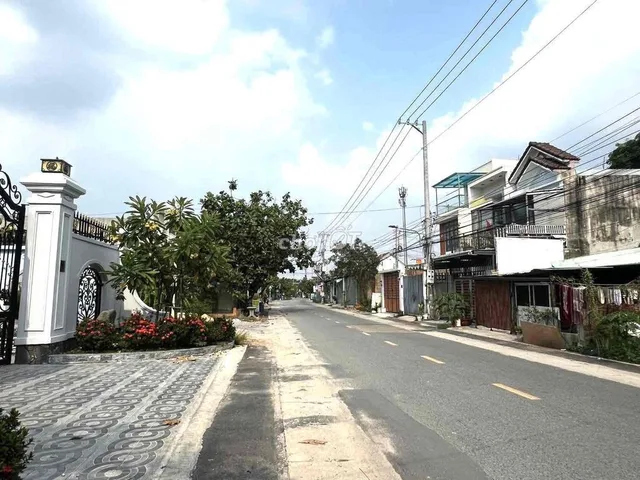 Bất động sản tại Bình Dương - ảnh 1