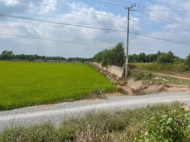 Bất động sản tại Long An - ảnh 1