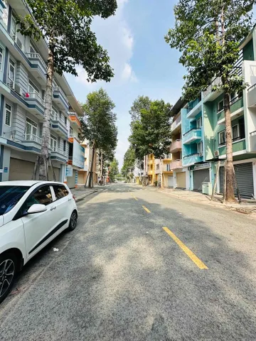 Bất động sản tại Bình Dương - ảnh 1