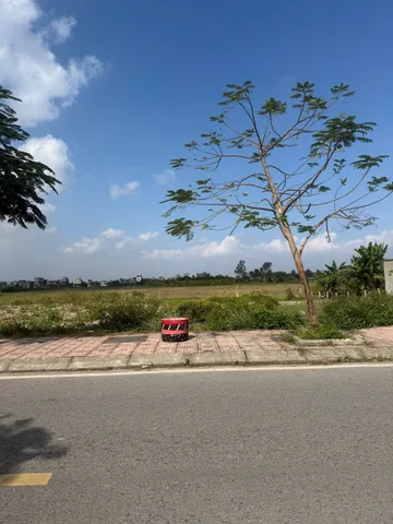 Bất động sản tại Hải Phòng - ảnh 1