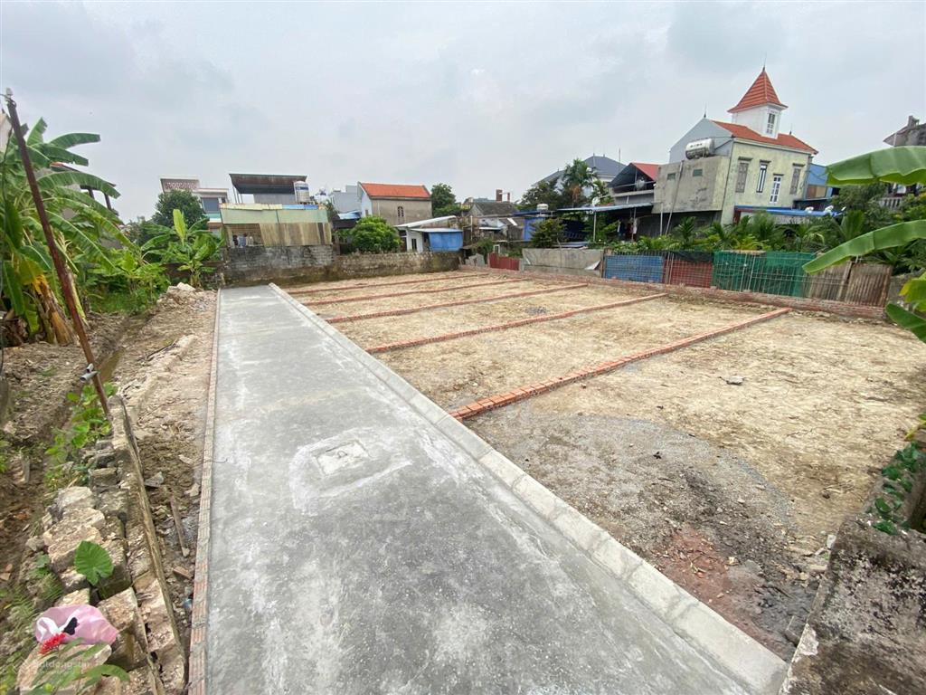 Bất động sản tại Hải Phòng - ảnh 1