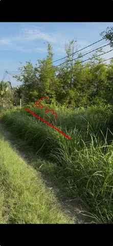 Bất động sản tại Tây Ninh - ảnh 1