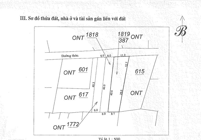 Bất động sản tại Thanh Hóa - ảnh 1
