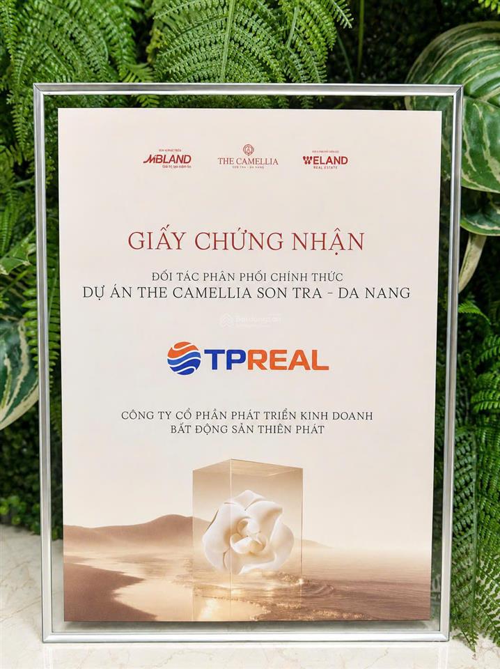 Bất động sản tại Đà Nẵng - ảnh 1