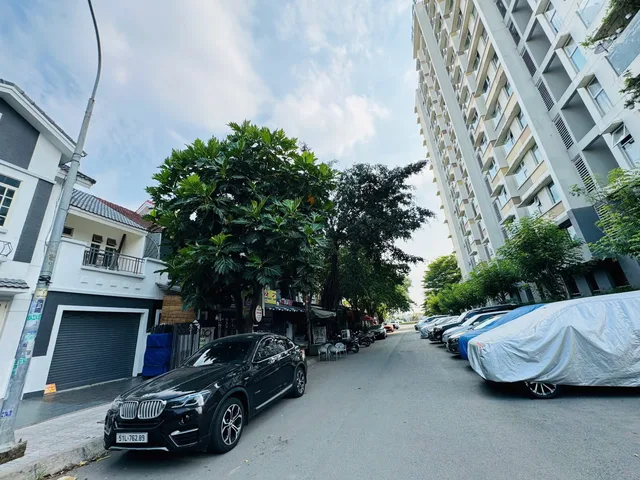 Bất động sản tại TP. Hồ Chí Minh - ảnh 1