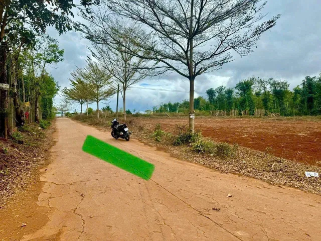 Bất động sản tại Đắk Lắk - ảnh 1