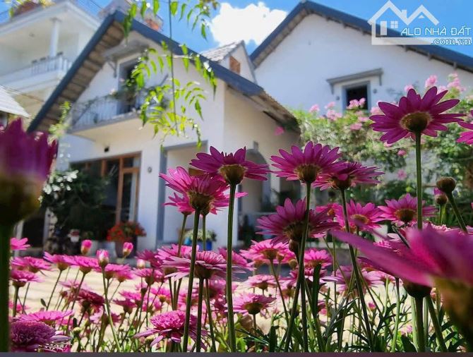 Bất động sản tại Lâm Đồng - ảnh 1