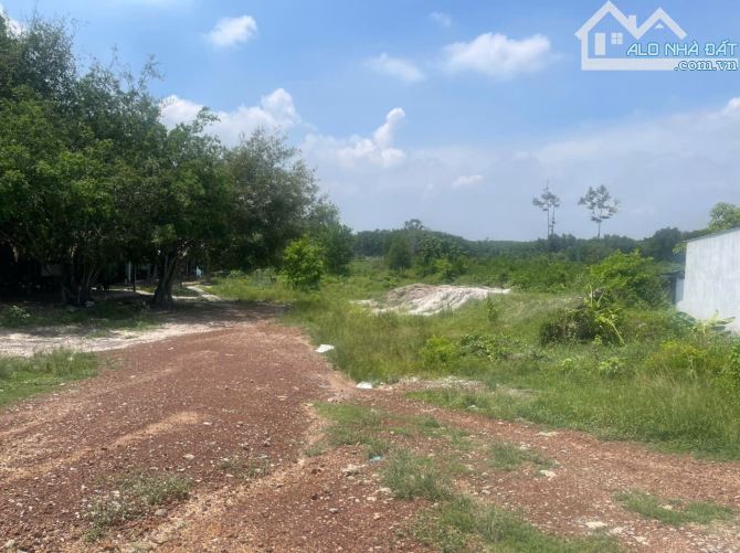 Bất động sản tại Bình Dương - ảnh 1