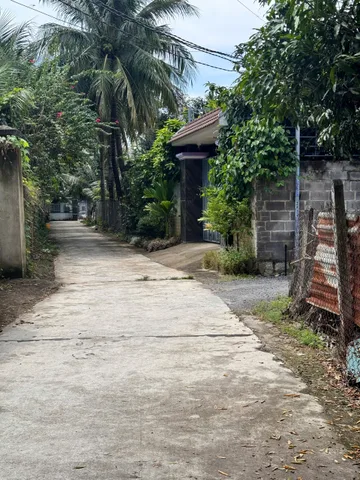 Bất động sản tại Khánh Hòa - ảnh 1
