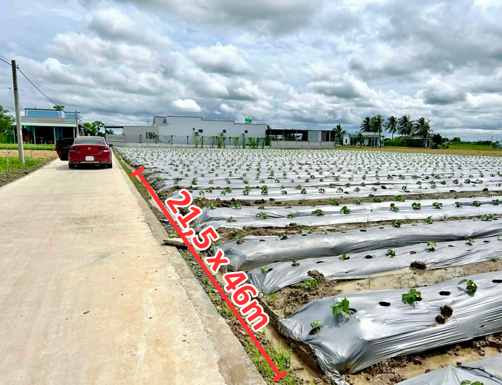 Bất động sản tại Tiền Giang - ảnh 1