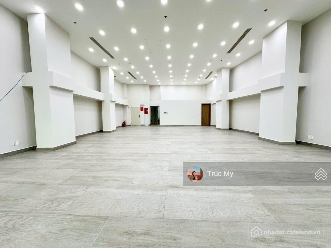 Bất động sản tại TP. Hồ Chí Minh - ảnh 1