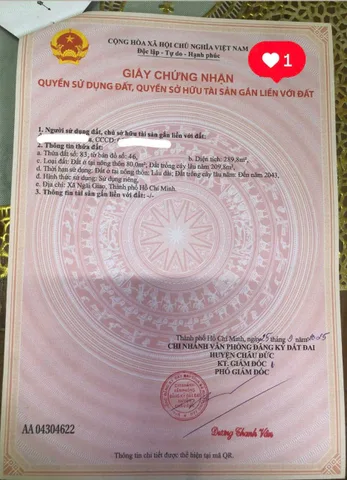 Bất động sản tại Bà Rịa - Vũng Tàu - ảnh 1