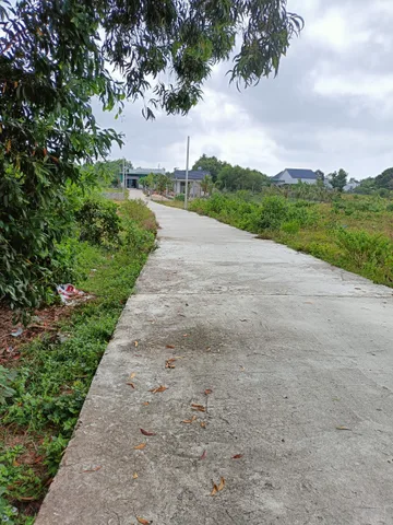 Bất động sản tại Lâm Đồng - ảnh 1
