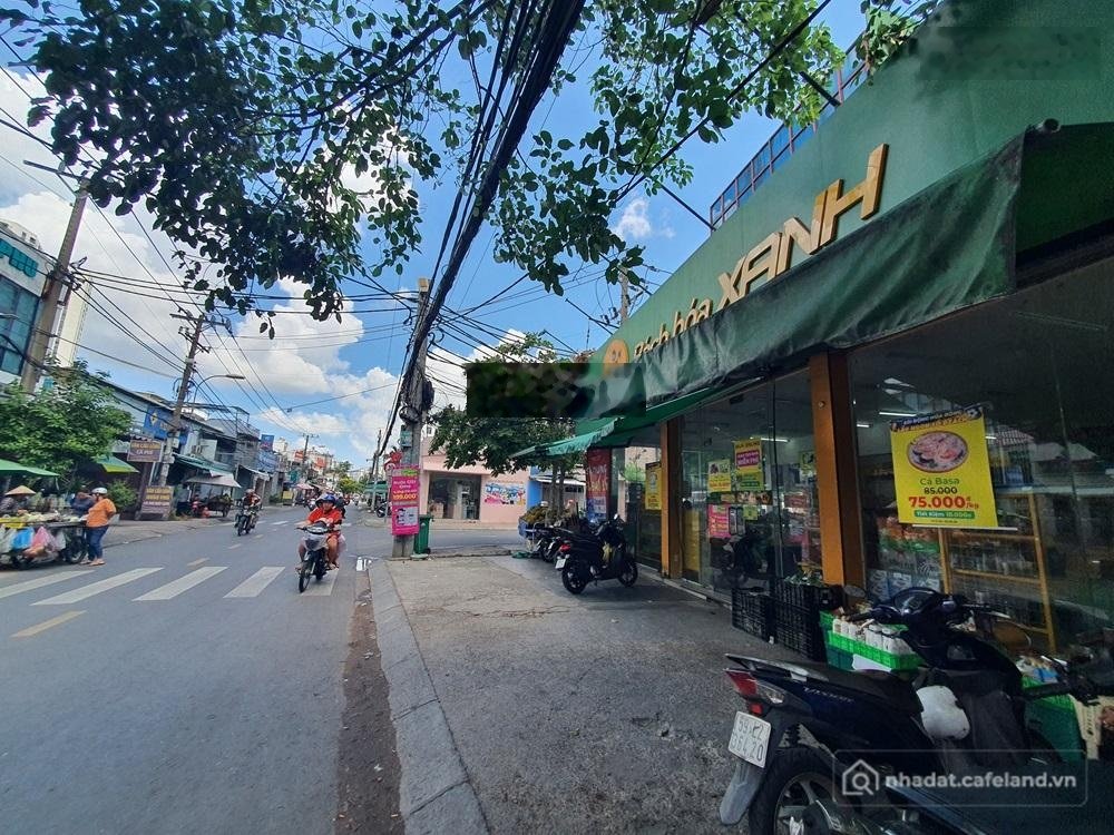 Bất động sản tại TP. Hồ Chí Minh - ảnh 1