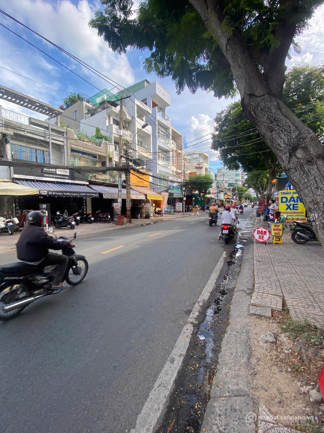 Bất động sản tại TP. Hồ Chí Minh - ảnh 1
