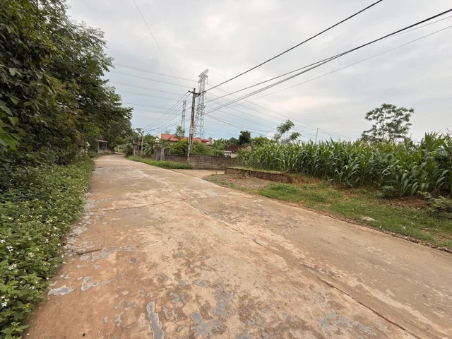 Bất động sản tại Phú Thọ - ảnh 1
