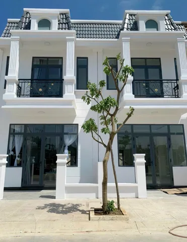 Bất động sản tại Bình Dương - ảnh 1