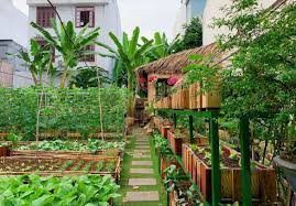 Bất động sản tại Kiên Giang - ảnh 1