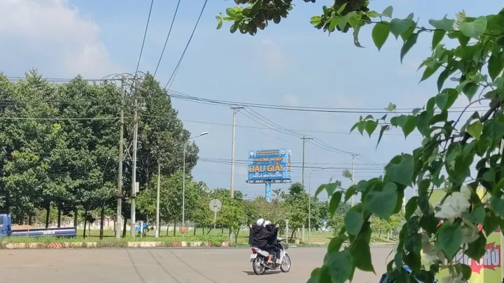 Bất động sản tại Đồng Nai - ảnh 1