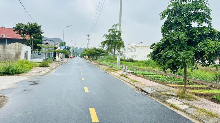 Bất động sản tại Hải Phòng - ảnh 1