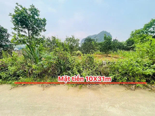 Bất động sản tại Hòa Bình - ảnh 1