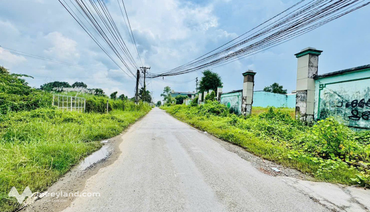 Bất động sản tại Long An - ảnh 1