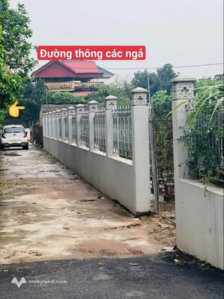 Bất động sản tại Hưng Yên - ảnh 1