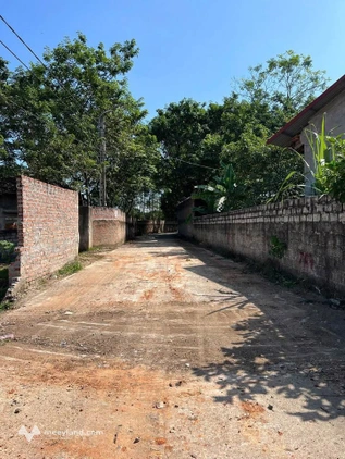 Bất động sản tại Vĩnh Phúc - ảnh 1