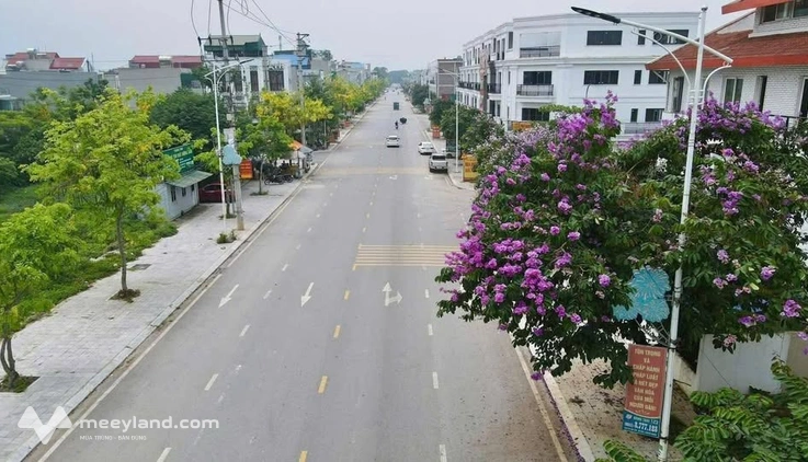 Bất động sản tại Vĩnh Phúc - ảnh 1