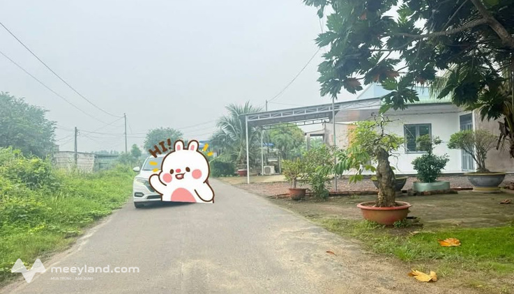 Bất động sản tại Bà Rịa - Vũng Tàu - ảnh 1
