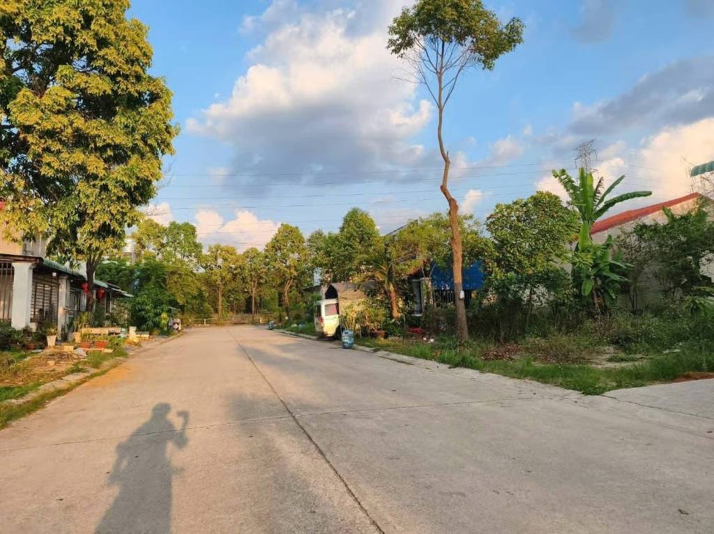Bất động sản tại Bình Dương - ảnh 1