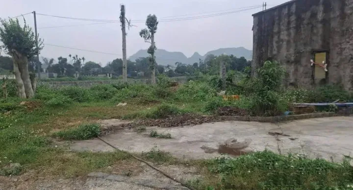 Bất động sản tại Phú Thọ - ảnh 1