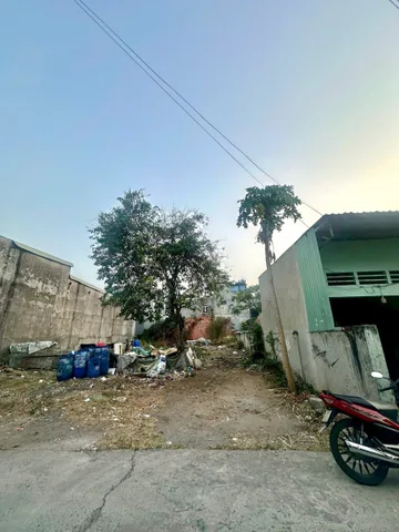 Bất động sản tại Bình Dương - ảnh 1