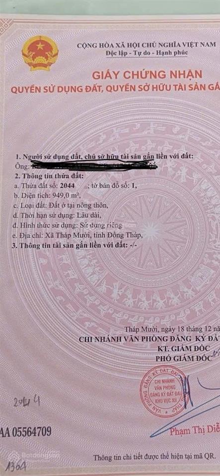 Bất động sản tại Đồng Tháp - ảnh 1