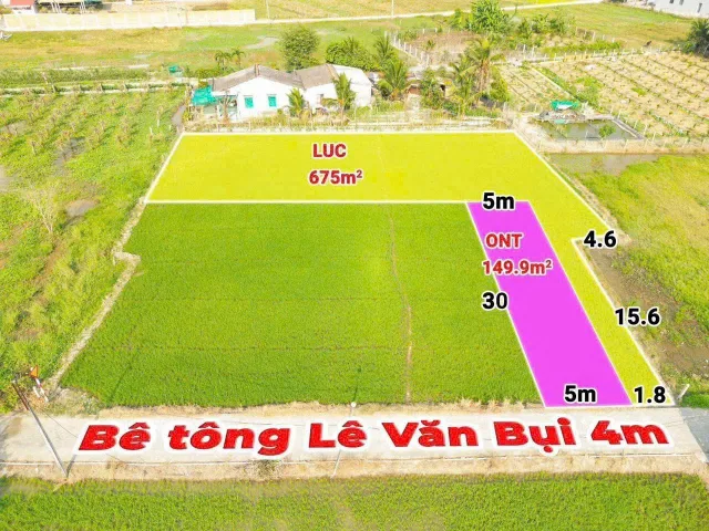 Bất động sản tại Long An - ảnh 1