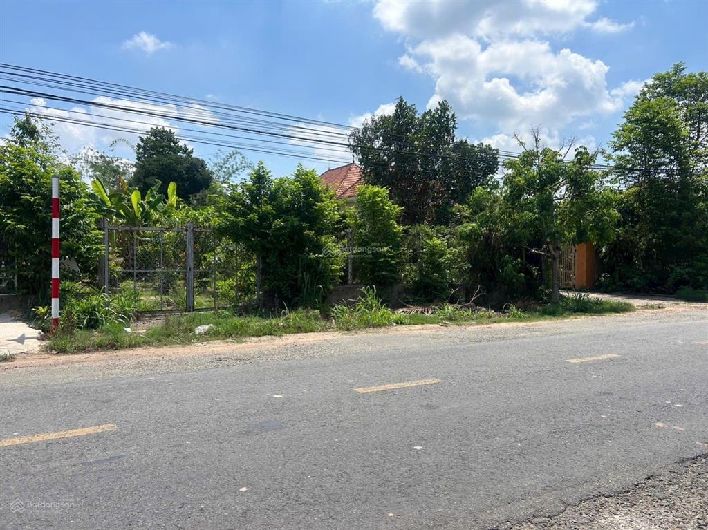 Bất động sản tại Bình Dương - ảnh 1