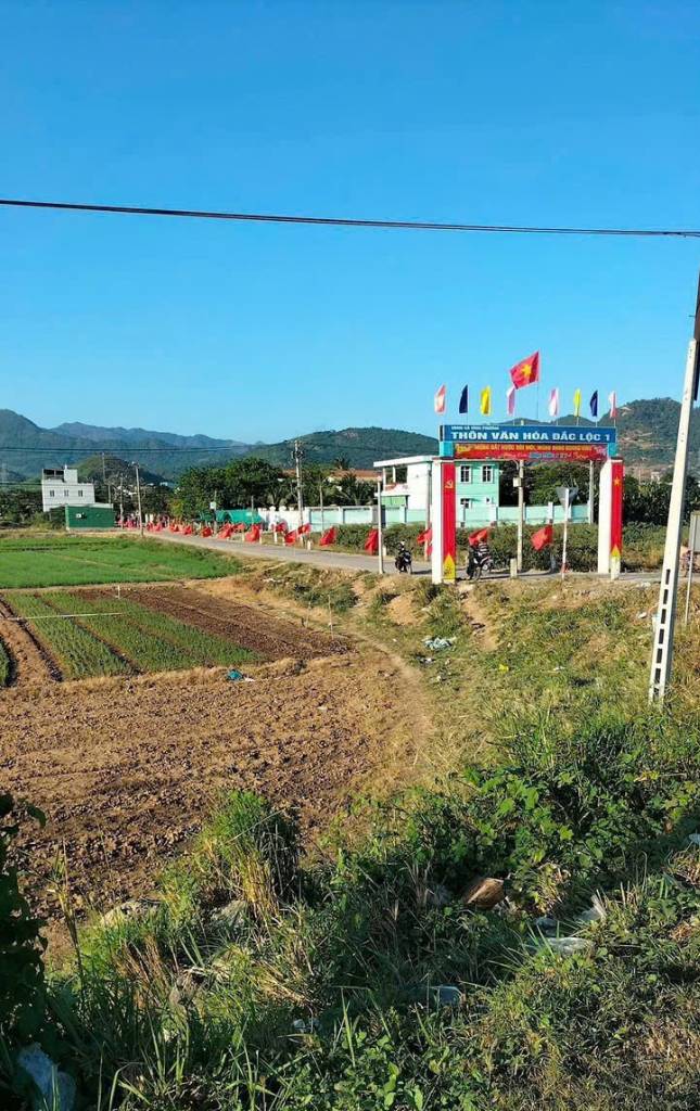 Bất động sản tại Khánh Hòa - ảnh 1