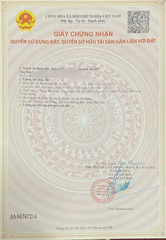 Bất động sản tại Phú Thọ - ảnh 1