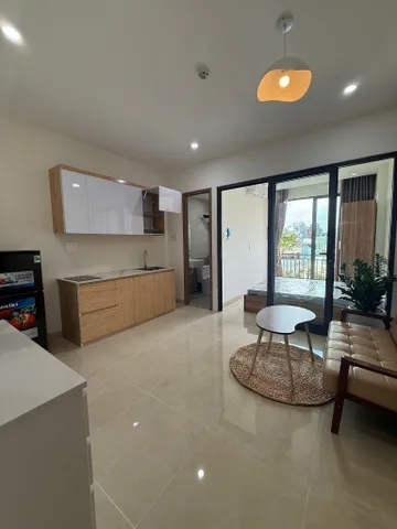 Bất động sản tại Đà Nẵng - ảnh 1
