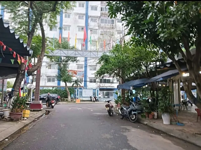 Bất động sản tại Đà Nẵng - ảnh 1