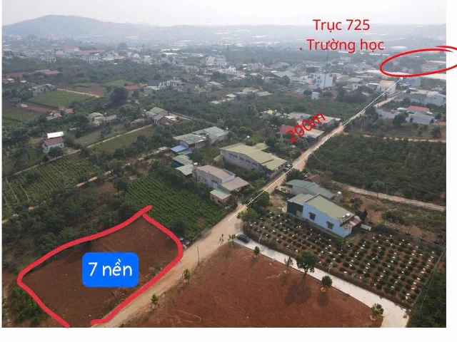 Bất động sản tại Lâm Đồng - ảnh 1