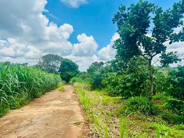 Bất động sản tại Đắk Lắk - ảnh 1